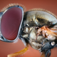 Illustration for article titled Some of the Most Gorgeous Macrophotography Weve Seen in Ages